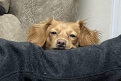 IMG_1849