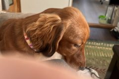 IMG_1903
