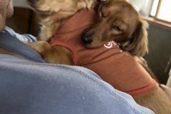 IMG_2174