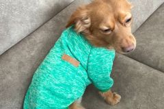 WS000007