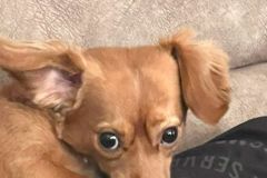 WS000017